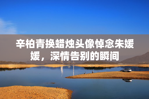 辛柏青换蜡烛头像悼念朱媛媛，深情告别的瞬间