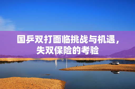 国乒双打面临挑战与机遇，失双保险的考验