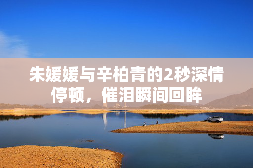 朱媛媛与辛柏青的2秒深情停顿，催泪瞬间回眸