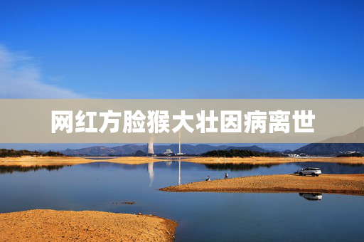 网红方脸猴大壮因病离世