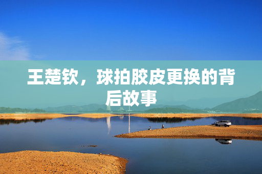 王楚钦，球拍胶皮更换的背后故事