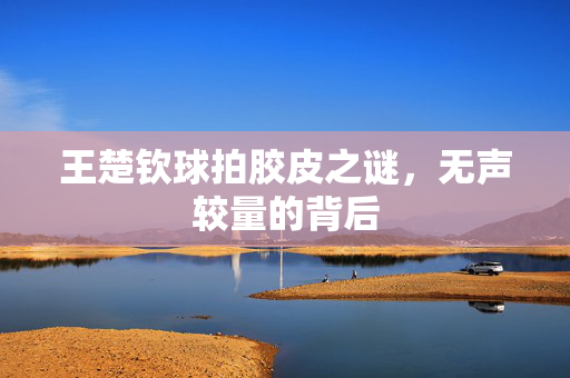 王楚钦球拍胶皮之谜，无声较量的背后