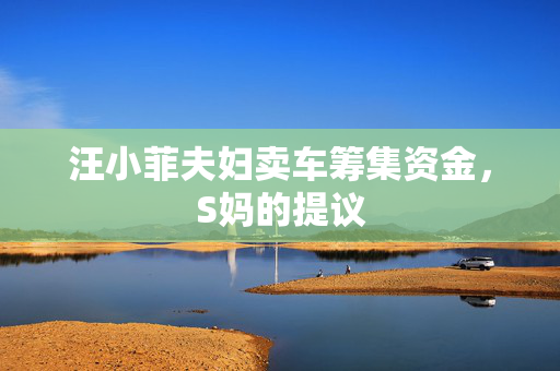 汪小菲夫妇卖车筹集资金，S妈的提议
