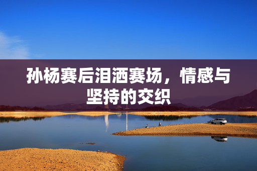 孙杨赛后泪洒赛场，情感与坚持的交织