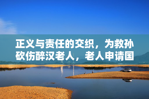 正义与责任的交织，为救孙砍伤醉汉老人，老人申请国赔128万事件剖析