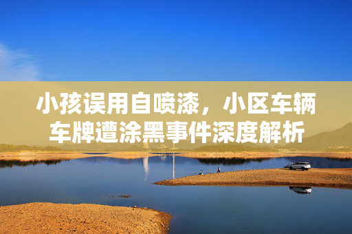 小孩误用自喷漆，小区车辆车牌遭涂黑事件深度解析