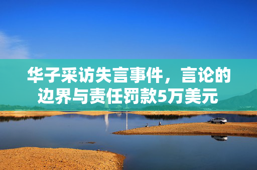 华子采访失言事件，言论的边界与责任罚款5万美元