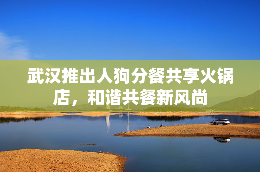 武汉推出人狗分餐共享火锅店，和谐共餐新风尚