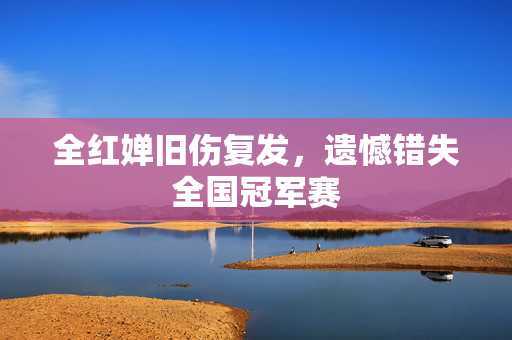 全红婵旧伤复发，遗憾错失全国冠军赛