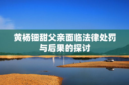 黄杨钿甜父亲面临法律处罚与后果的探讨