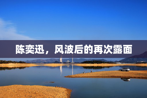 陈奕迅，风波后的再次露面