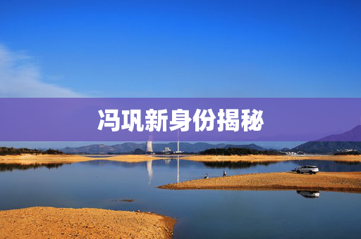 冯巩新身份揭秘