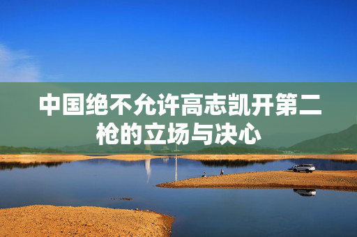 中国绝不允许高志凯开第二枪的立场与决心