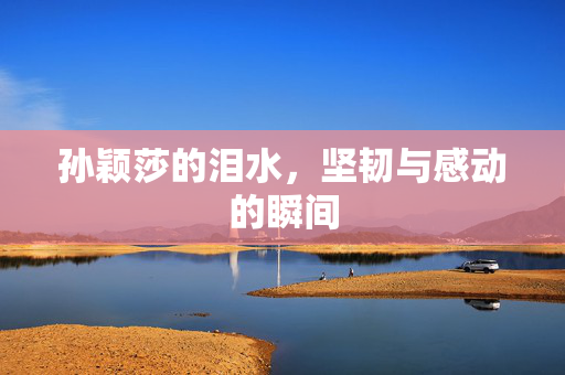 孙颖莎的泪水，坚韧与感动的瞬间