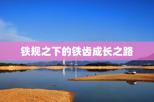铁规之下的铁齿成长之路