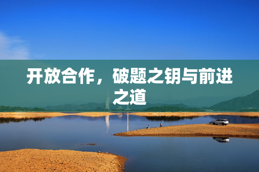 开放合作，破题之钥与前进之道