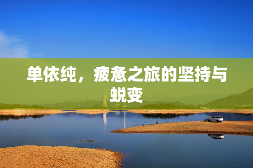单依纯，疲惫之旅的坚持与蜕变