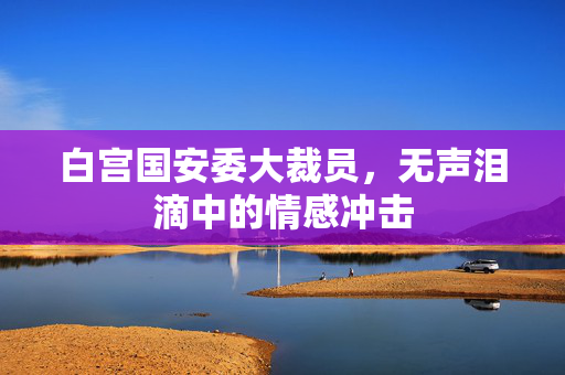 白宫国安委大裁员，无声泪滴中的情感冲击
