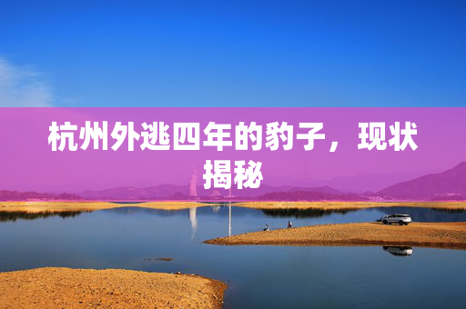 杭州外逃四年的豹子，现状揭秘