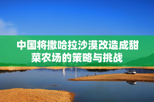中国将撒哈拉沙漠改造成甜菜农场的策略与挑战