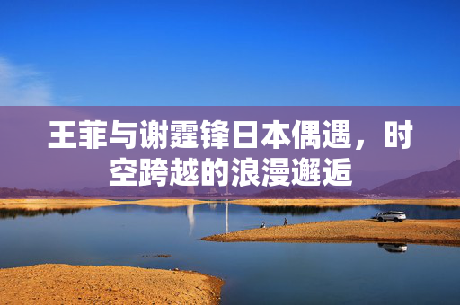 王菲与谢霆锋日本偶遇，时空跨越的浪漫邂逅