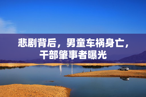 悲剧背后，男童车祸身亡，干部肇事者曝光