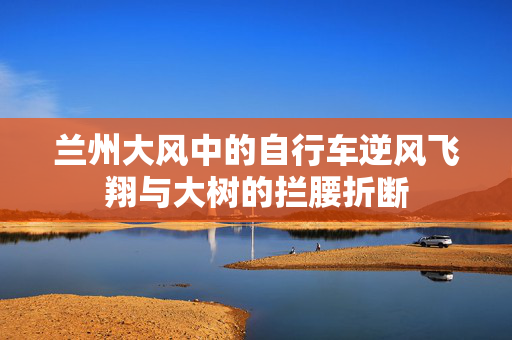 兰州大风中的自行车逆风飞翔与大树的拦腰折断