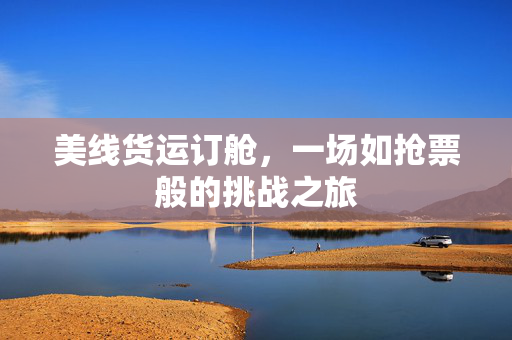 美线货运订舱，一场如抢票般的挑战之旅