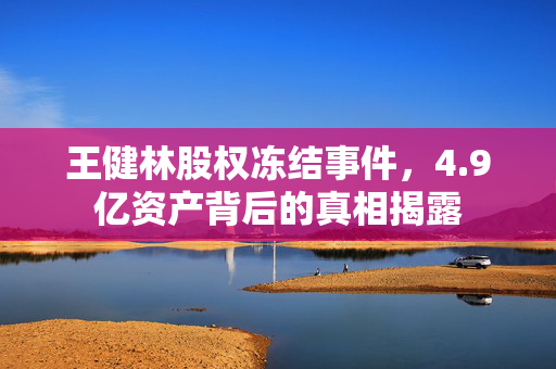 王健林股权冻结事件，4.9亿资产背后的真相揭露