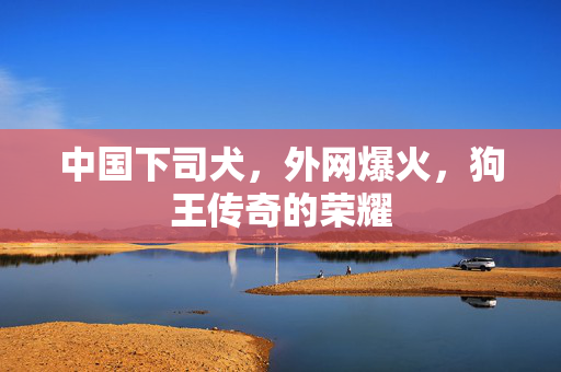 中国下司犬，外网爆火，狗王传奇的荣耀