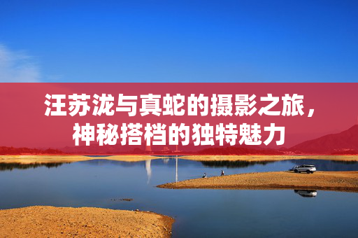 汪苏泷与真蛇的摄影之旅，神秘搭档的独特魅力