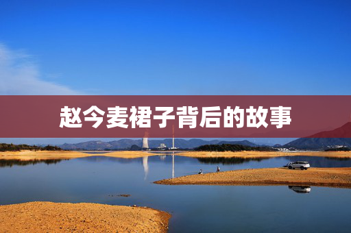 赵今麦裙子背后的故事