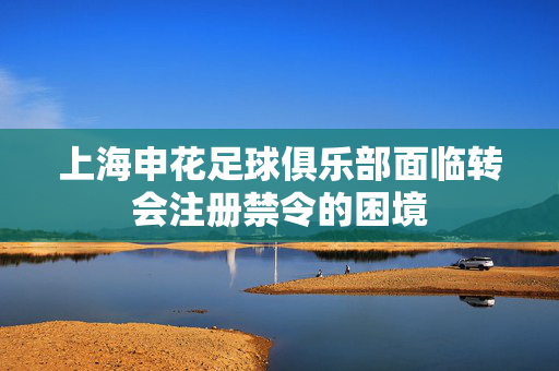 上海申花足球俱乐部面临转会注册禁令的困境