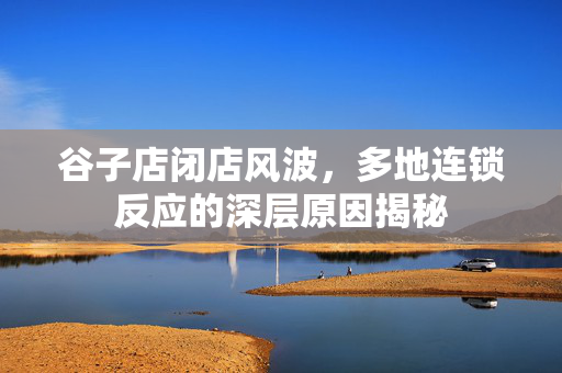 谷子店闭店风波，多地连锁反应的深层原因揭秘
