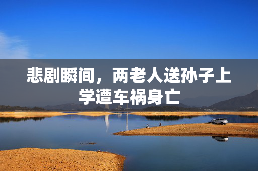 悲剧瞬间，两老人送孙子上学遭车祸身亡