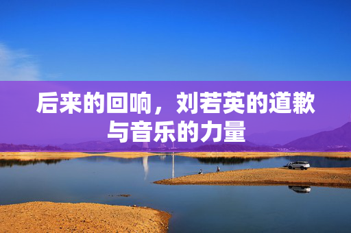 后来的回响，刘若英的道歉与音乐的力量
