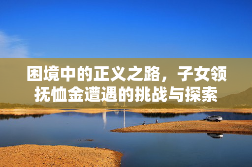 困境中的正义之路，子女领抚恤金遭遇的挑战与探索