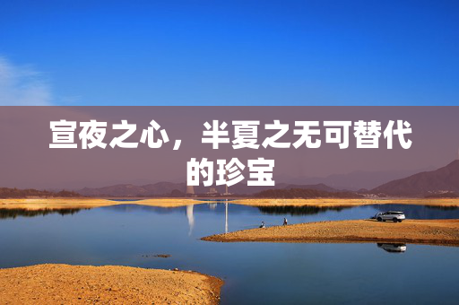 宣夜之心，半夏之无可替代的珍宝