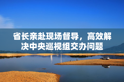 省长亲赴现场督导，高效解决中央巡视组交办问题