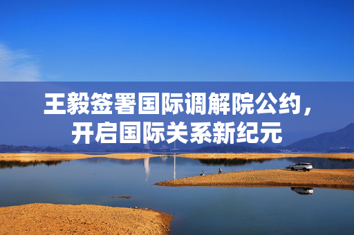 王毅签署国际调解院公约，开启国际关系新纪元