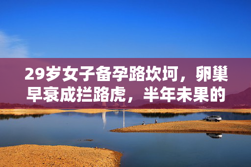 29岁女子备孕路坎坷，卵巢早衰成拦路虎，半年未果的挑战