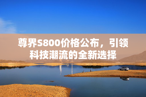 尊界S800价格公布，引领科技潮流的全新选择