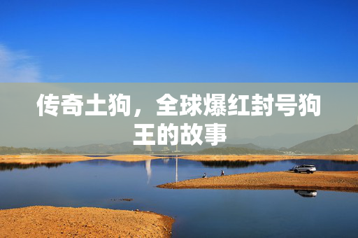传奇土狗，全球爆红封号狗王的故事
