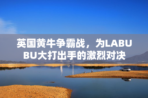 英国黄牛争霸战，为LABUBU大打出手的激烈对决