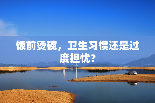 饭前烫碗，卫生习惯还是过度担忧？