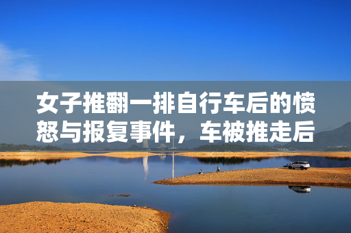 女子推翻一排自行车后的愤怒与报复事件，车被推走后的情感纠葛