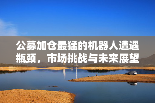 公募加仓最猛的机器人遭遇瓶颈，市场挑战与未来展望