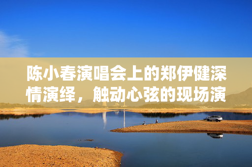 陈小春演唱会上的郑伊健深情演绎，触动心弦的现场演绎
