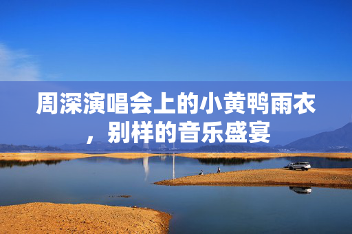周深演唱会上的小黄鸭雨衣，别样的音乐盛宴
