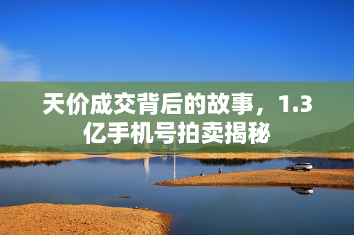 天价成交背后的故事，1.3亿手机号拍卖揭秘